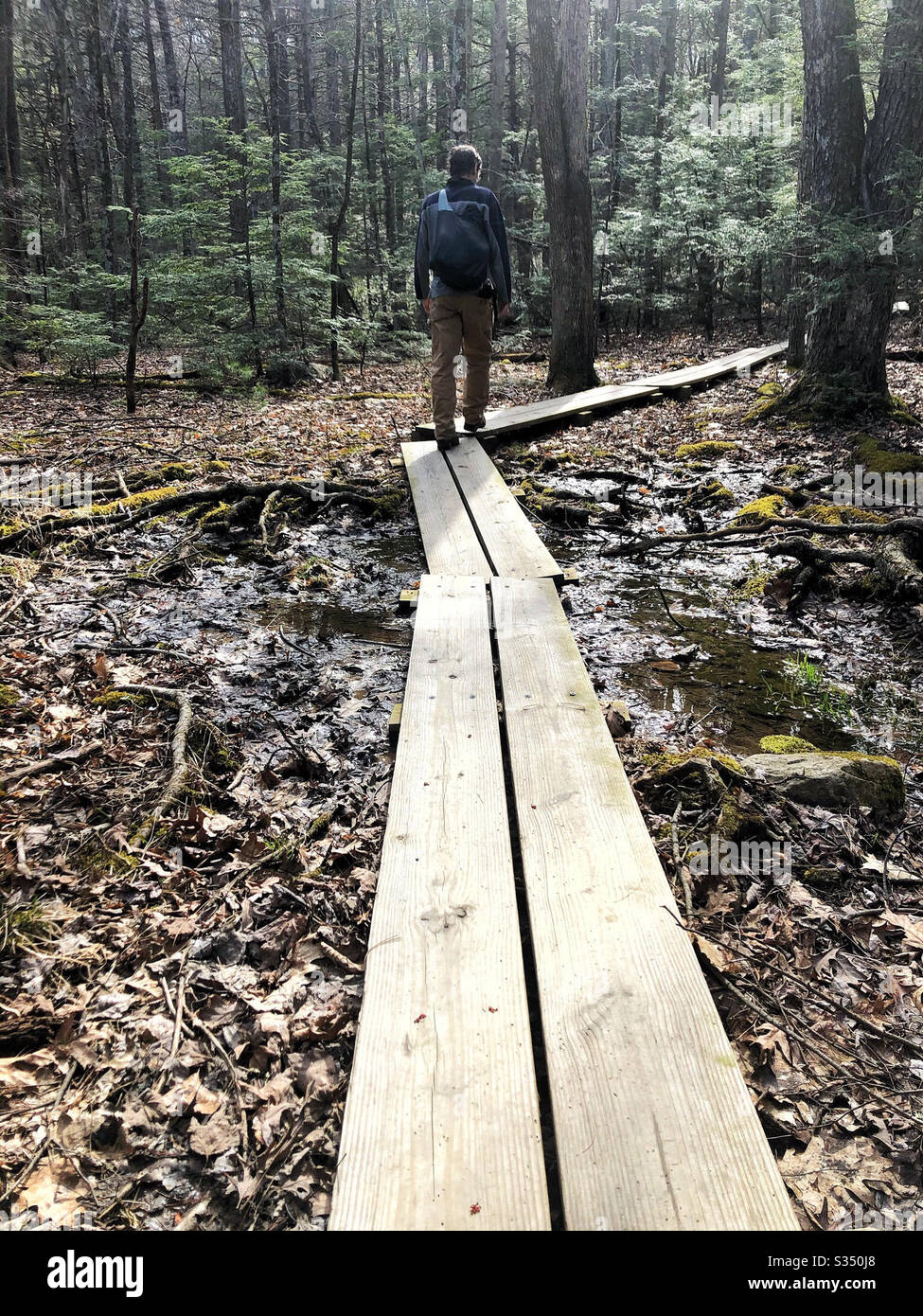 Der Mensch dreht eine Ecke auf Holzfußpfad im Wald Stockfoto