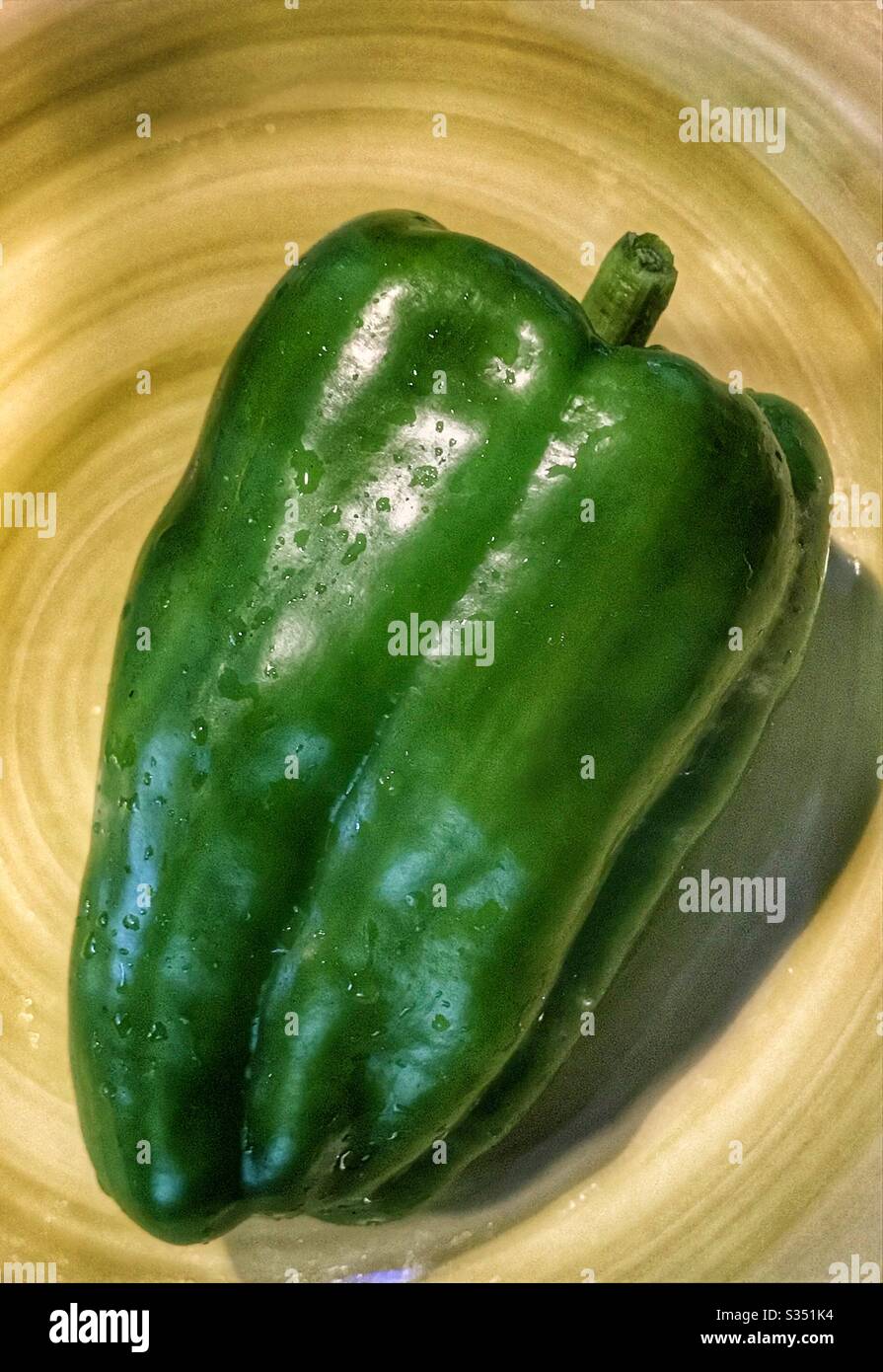 Frisch gepflückte grüne Paprika - Smartphone-aufgenommenes Stockfoto