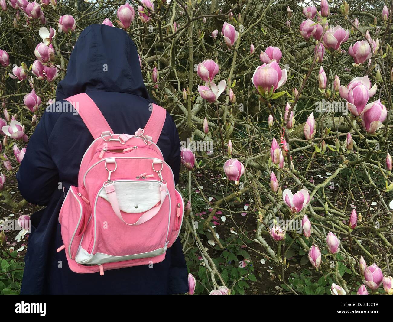 Rosafarbener Rucksack mit Magnolien - Smartphone-aufgenommenes Stockfoto