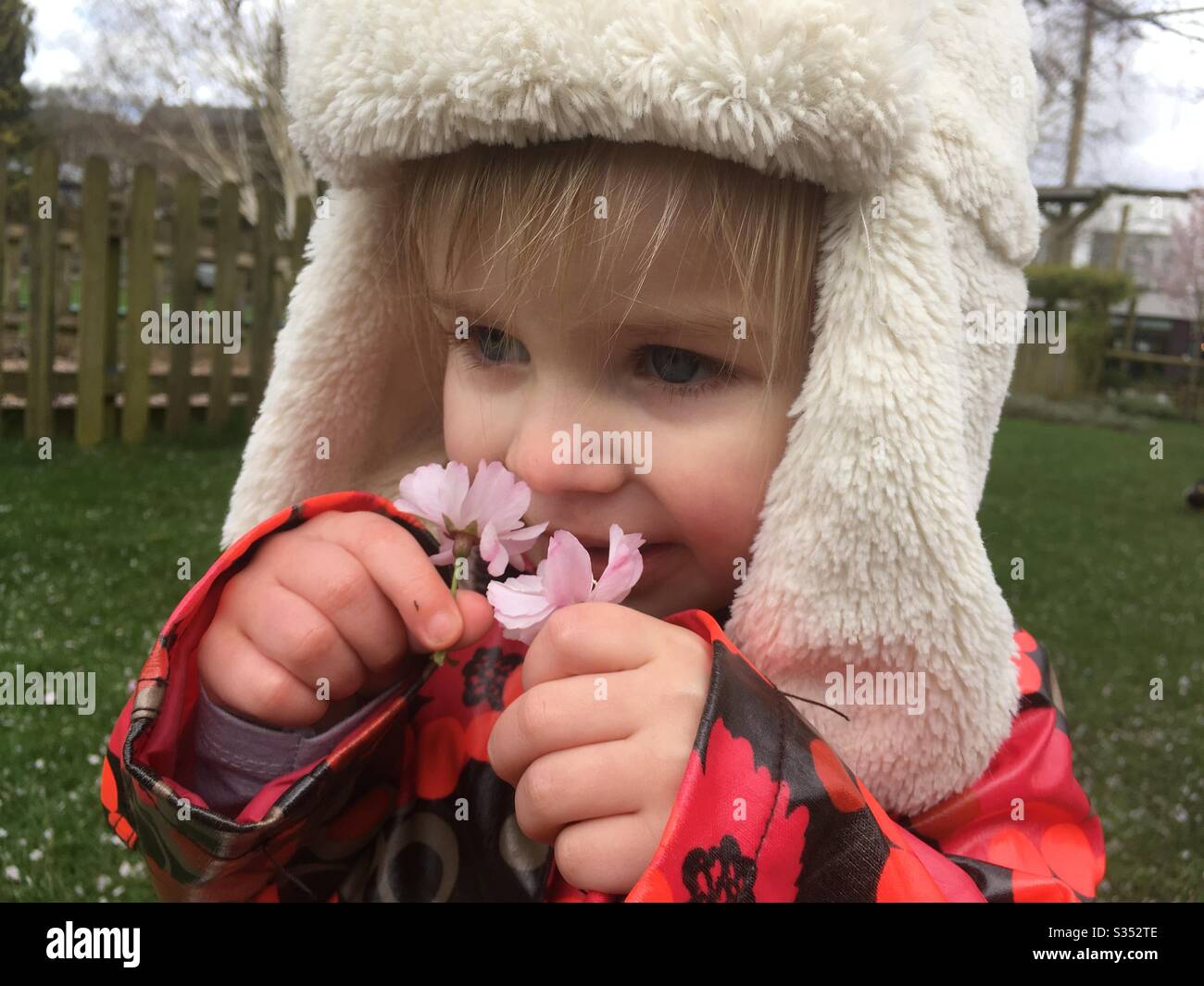 Kleinkind riecht die Blumen in ihren Händen Stockfoto