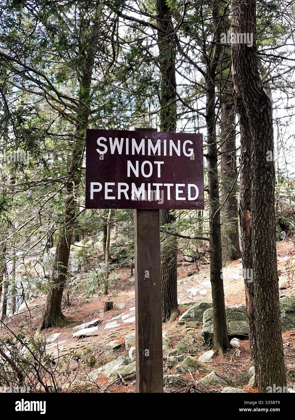 Schwimmen nicht erlaubt Zeichen, in bewaldeten Wald ohne Pool Stockfoto