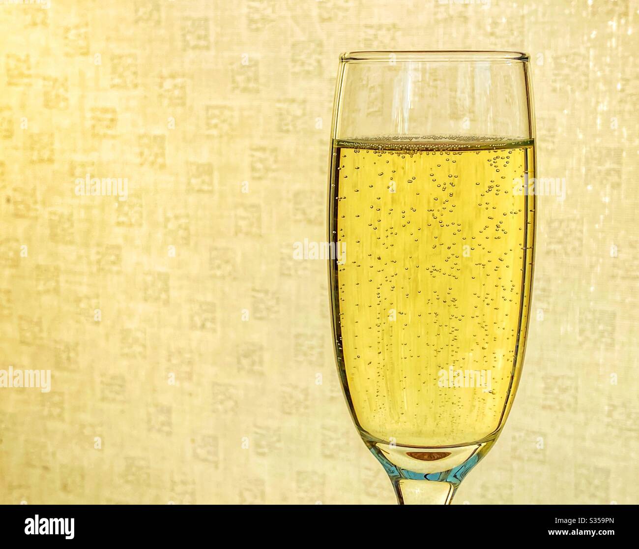 Glas mit Flöte aus französischem Champagner vor einem schlichten Hintergrund, der von Sonnenlicht hinterleuchtet wird Stockfoto