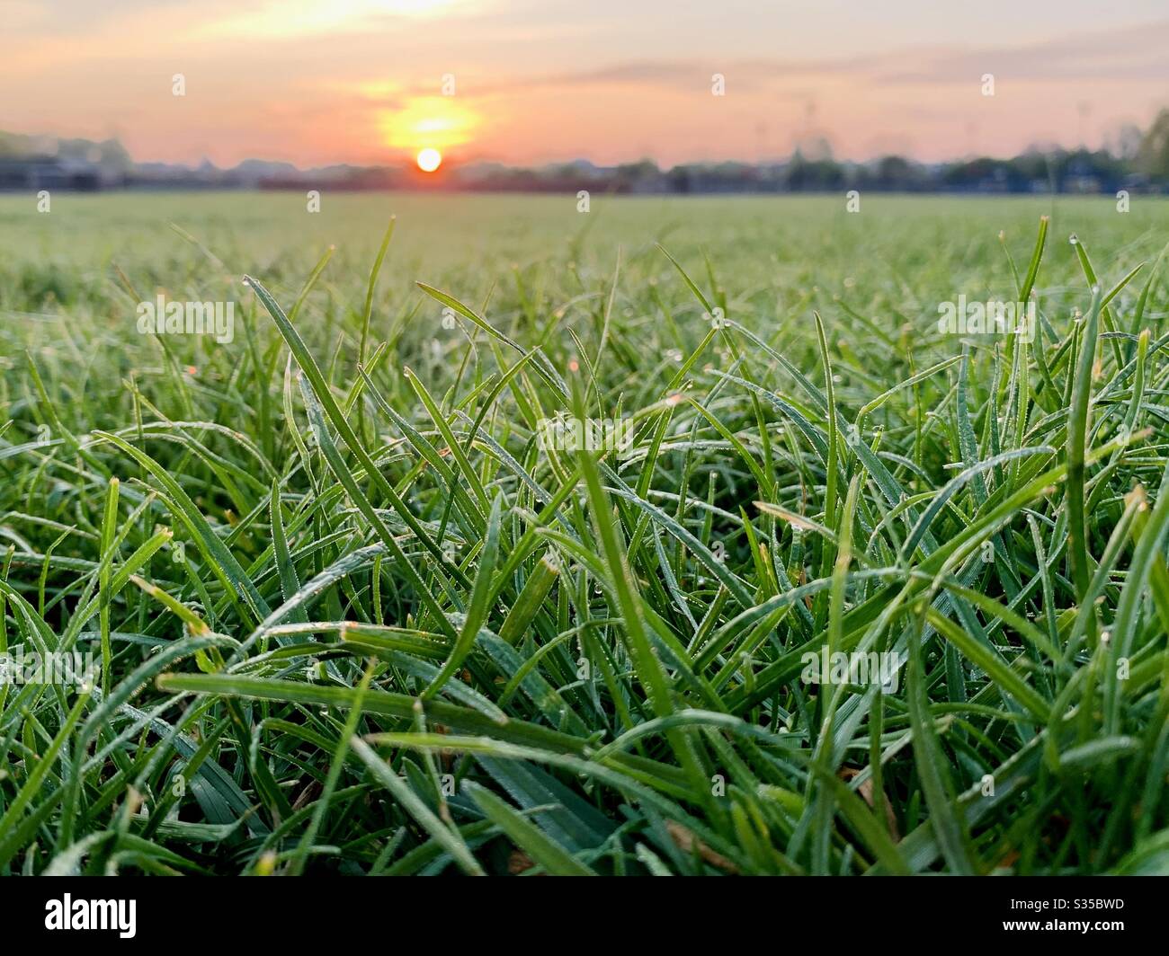 Sunrise in Oxford, Großbritannien - Smartphone-aufgenommenes Stockfoto