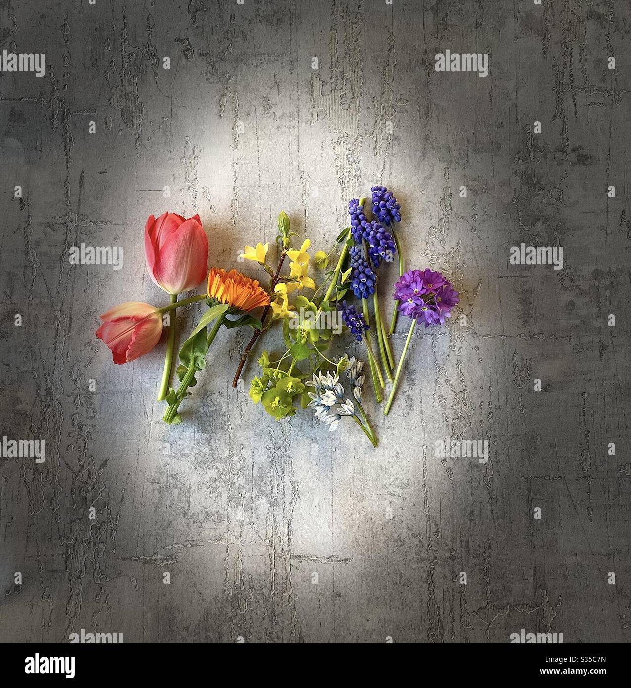 Flat-lay mit Regenbogenblumen Stockfoto