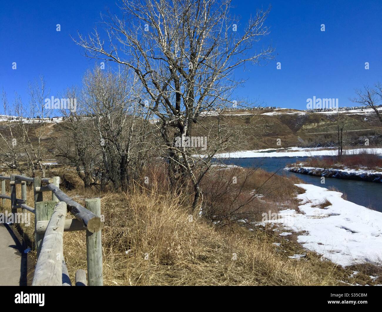 Hill Spring Creek, Matt Kroll Park, Cochrane, Alberta Stockfoto