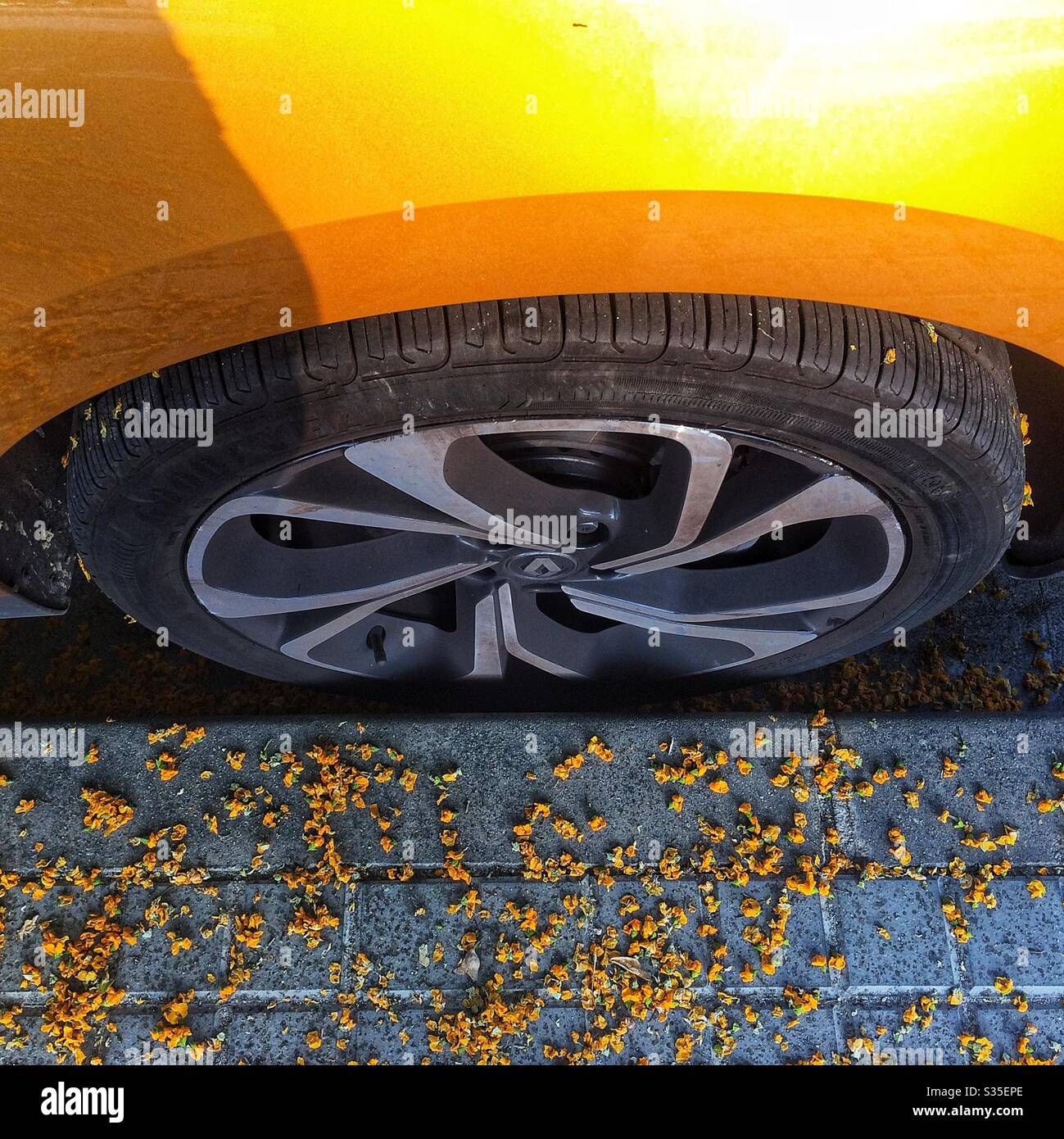 Das gelbe Rad des Autos Stockfoto