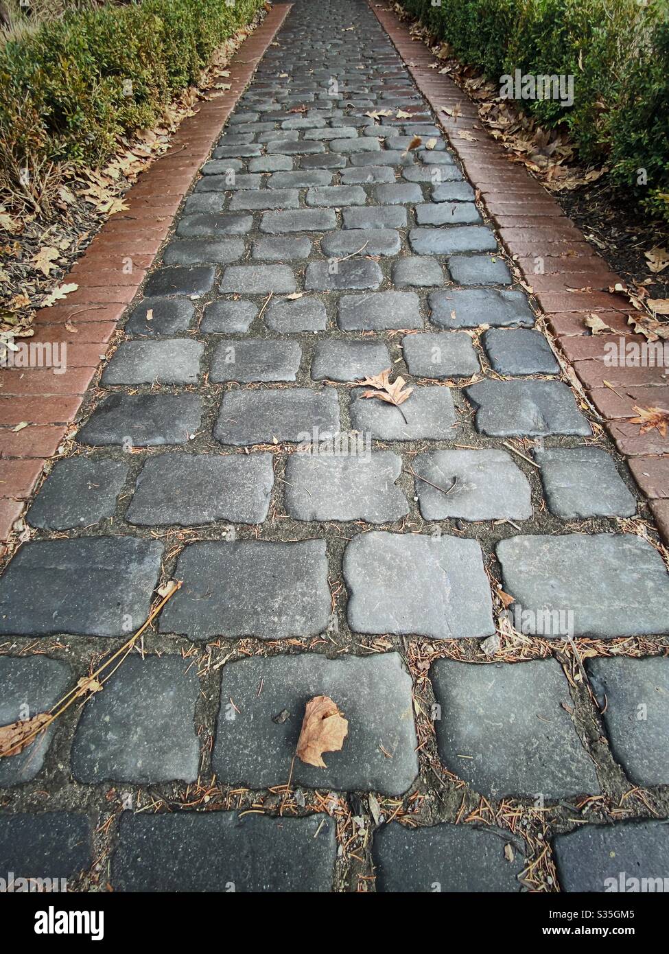 Braun gefallene Blätter auf nassen Schiefer gepflasterten Weg Bürgersteig in einem niedrigen Winkel verstreut. Stockfoto