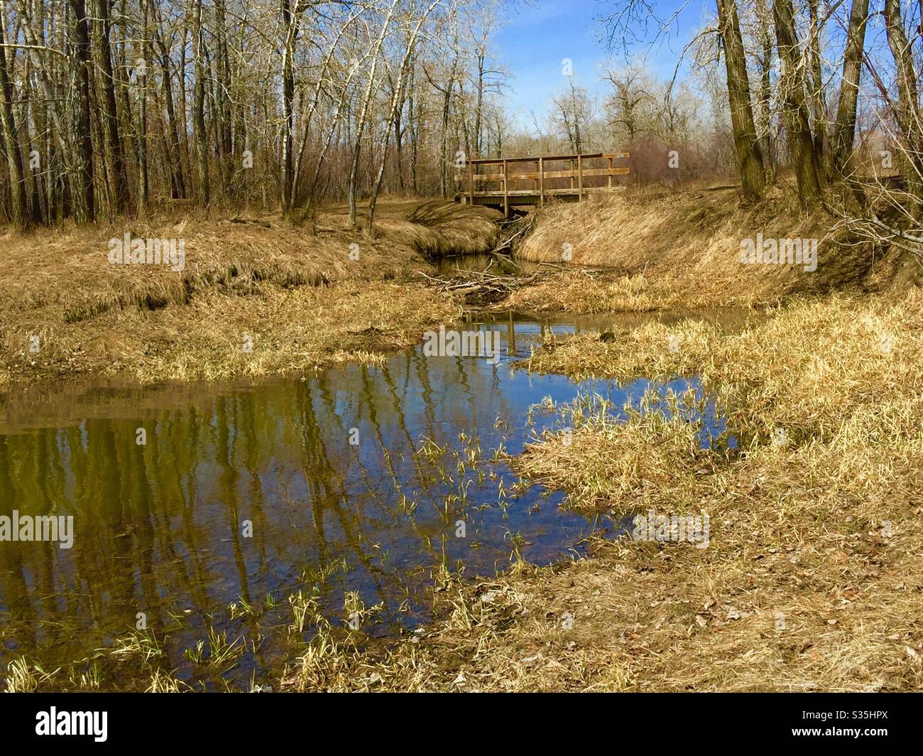 Carburn Park, Calgary, Alberta, Kanada, Fußgängerbrücke Stockfoto