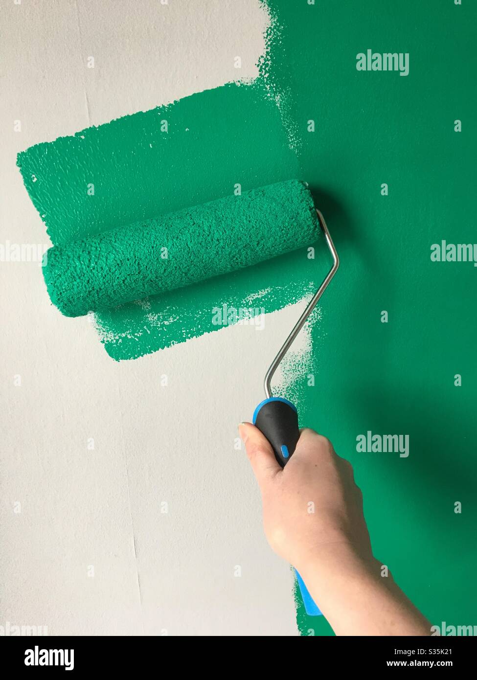 Eine Wand mit einer Rolle grün malen Stockfoto