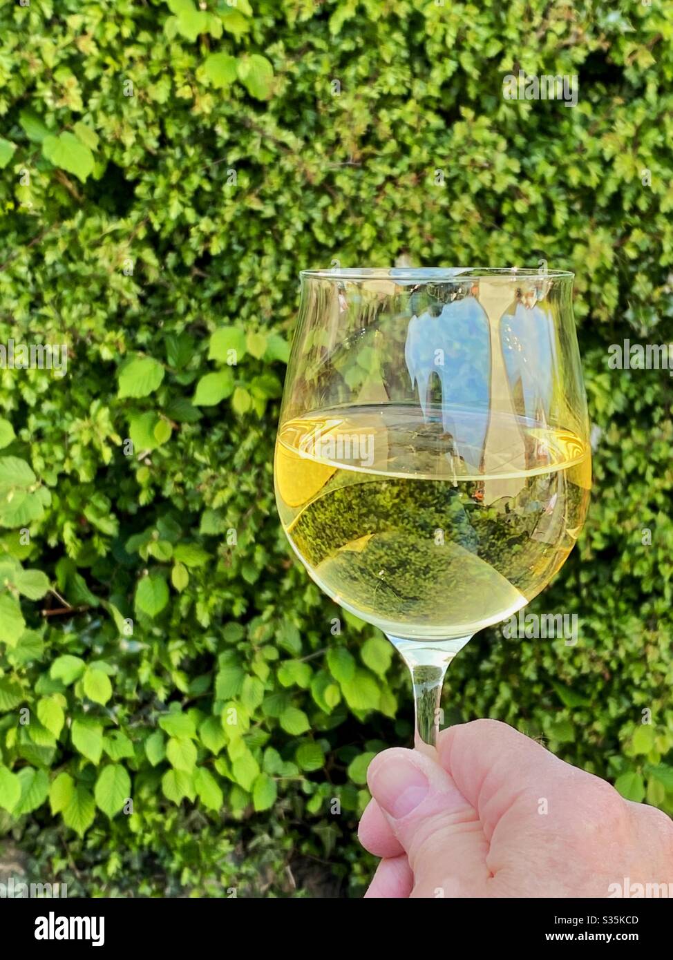 Großes Glas Weißwein, das im Freien in einem Garten aufbewahrt wird Stockfoto