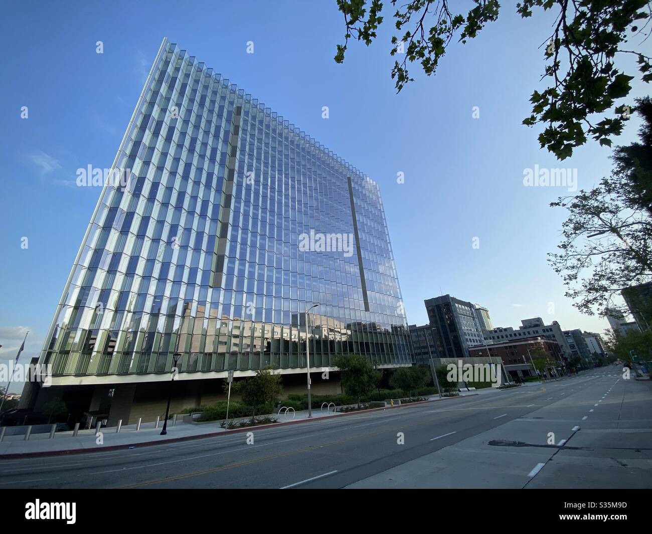 LOS ANGELES, CA, APR 2020: Glasfassade des neuen Bundesgerichtsgebäudes in Downtown mit Baum im Vordergrund, der die Aufnahme einrahmen - Smartphone-aufgenommenes Stockfoto