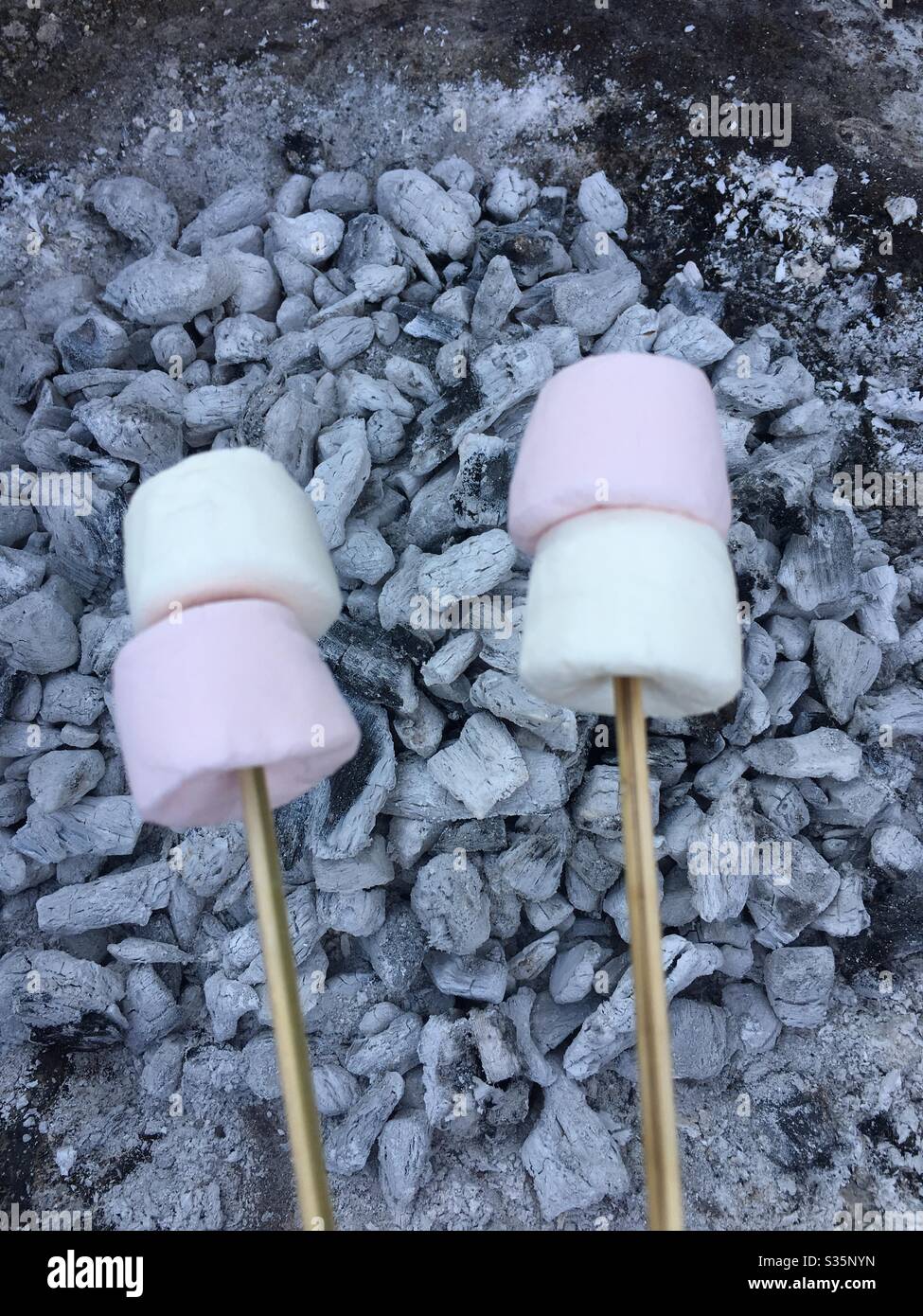 Marshmallows auf Stöcken auf dem grill Stockfoto