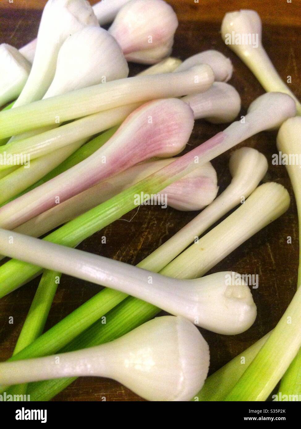 Bund Knoblauch frisches rohes Gemüse gesunde Lebensmittel - Smartphone-aufgenommenes Stockfoto