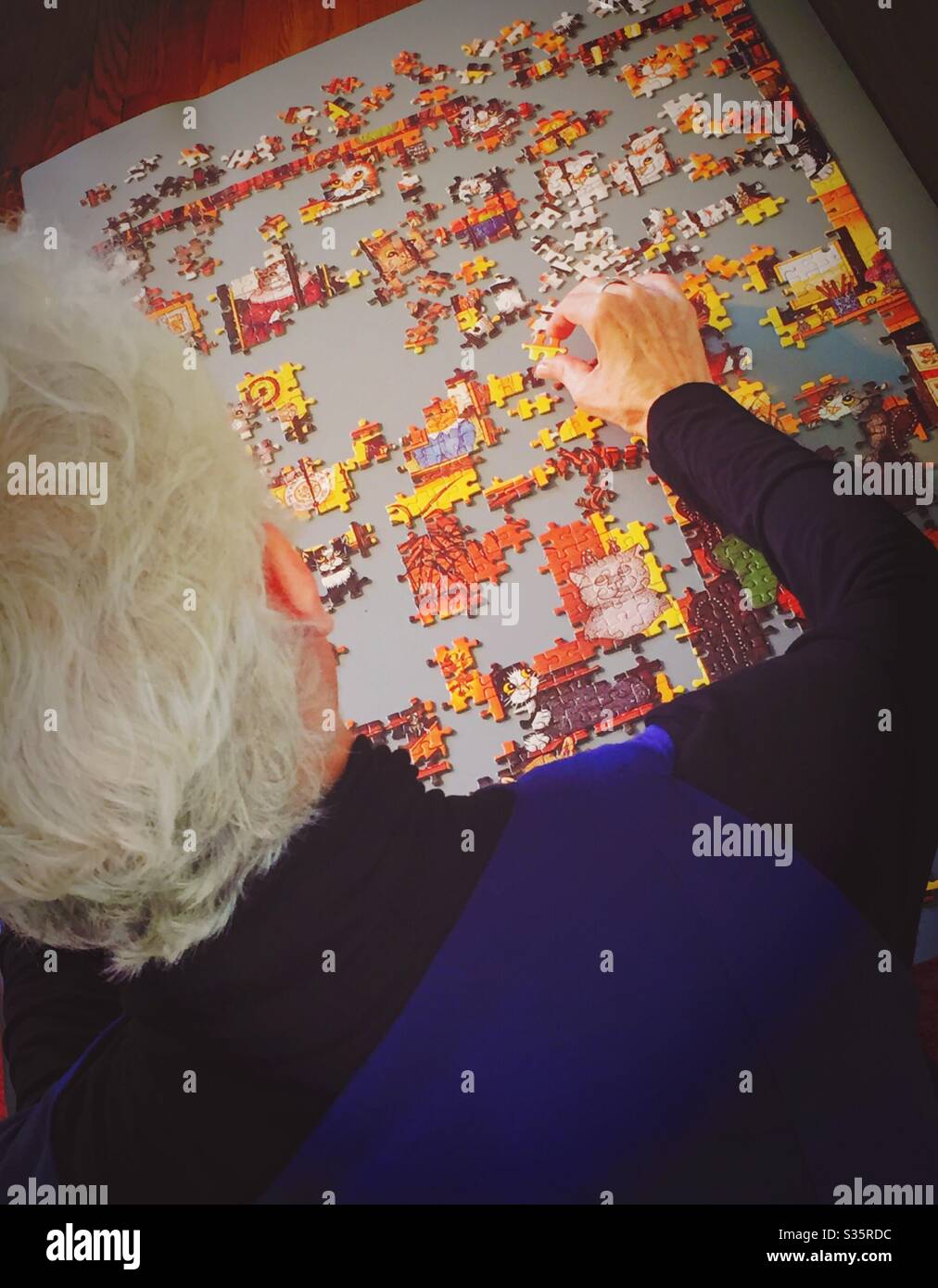 Puzzle wird von einer Rentnerin montiert zeigt ihre Konzentration und scharfe geistige Scharfsinn, USA Stockfoto