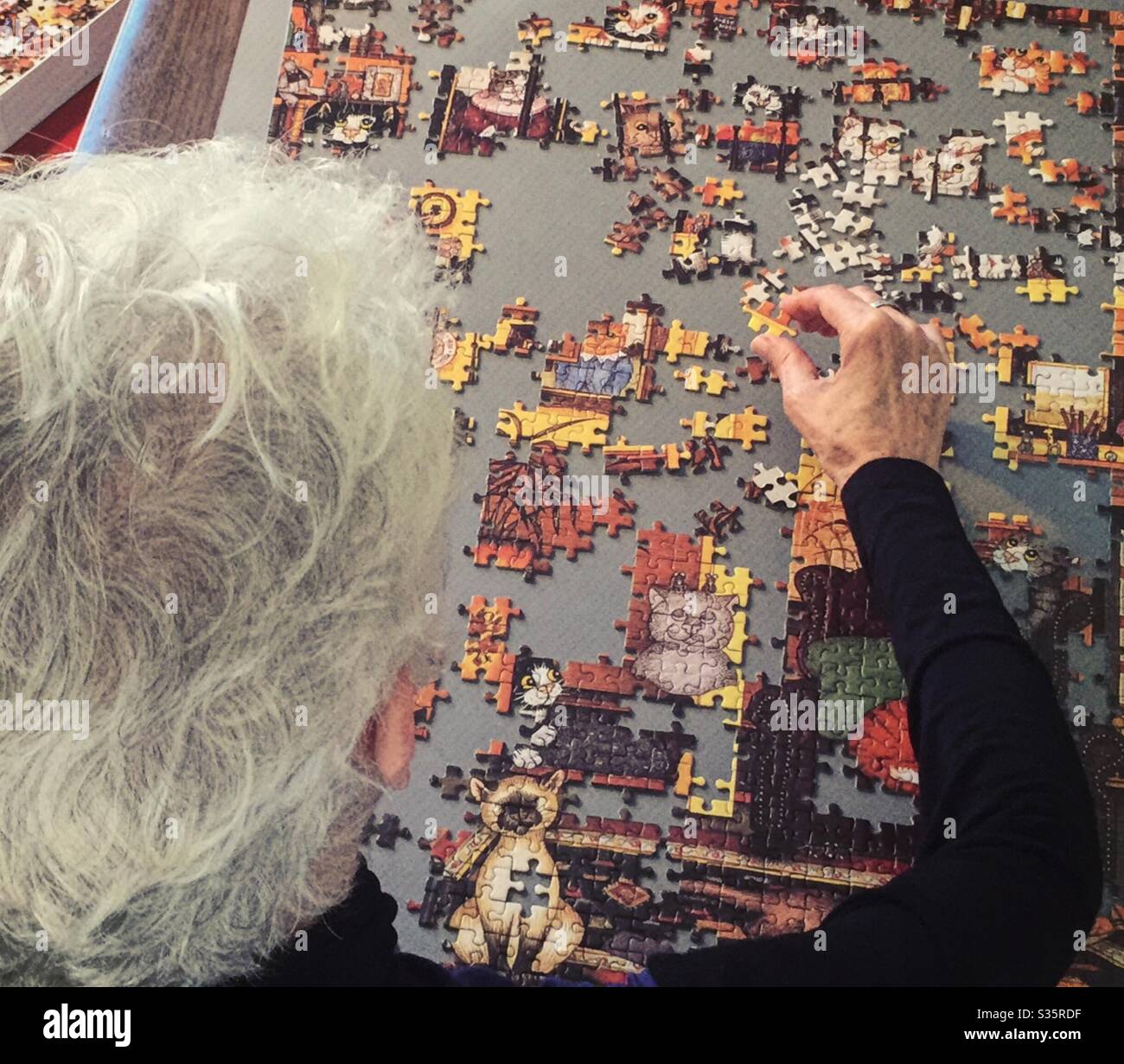 Puzzle wird von einer weiblichen Rentnerin montiert zeigt ihre Konzentration und scharfe geistige Scharfsinn, USA Stockfoto