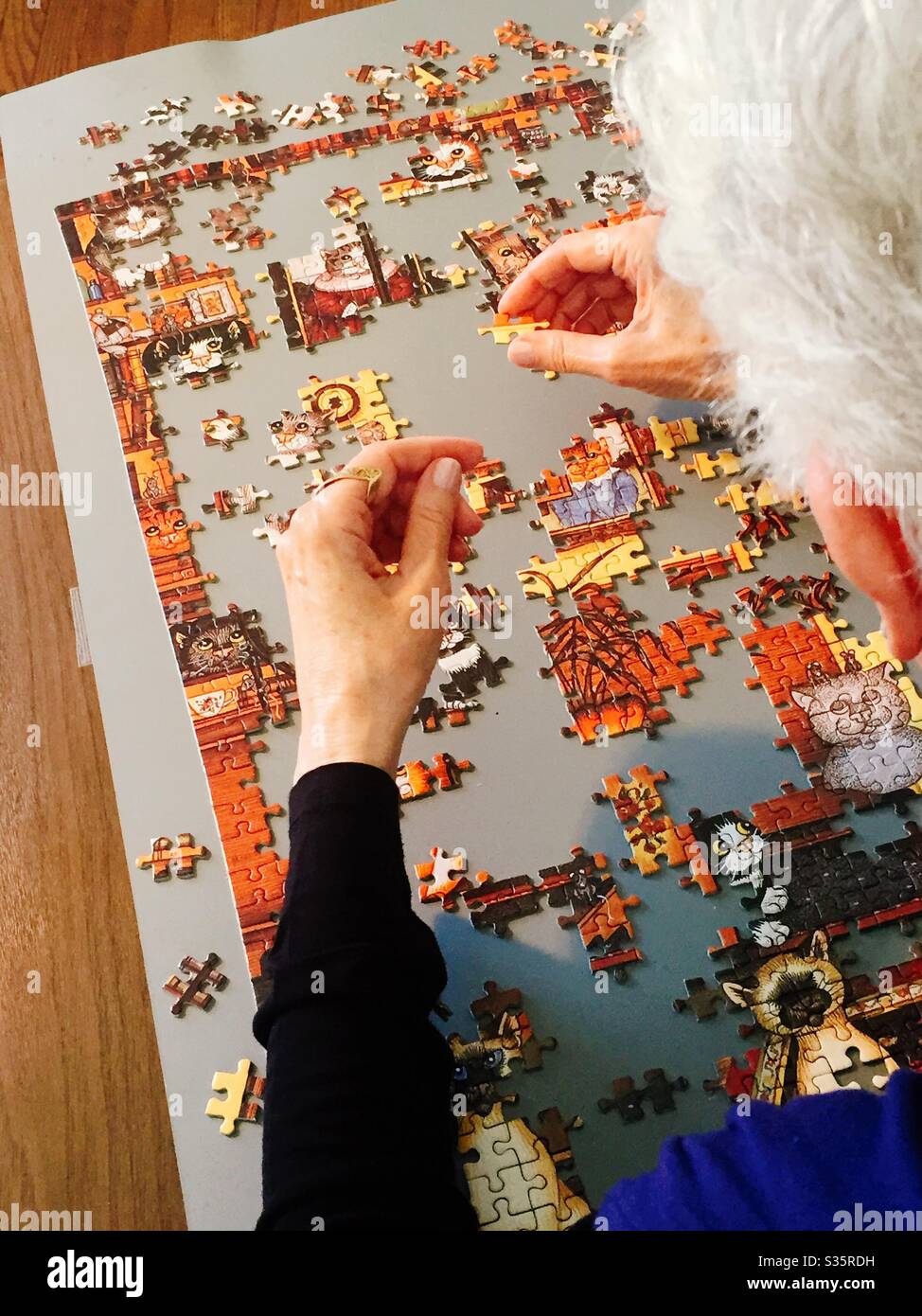 Puzzle wird von einer Rentnerin mit großer Konzentration und geistige Schärfe, USA montiert Stockfoto