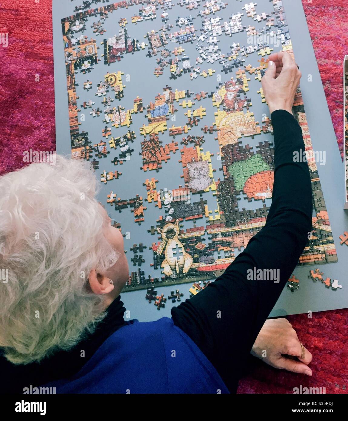 Jigsaw Puzzle wird von einer weiblichen Rentnerin mit großer Geschicklichkeit und geistige Scharfsinn, USA montiert Stockfoto