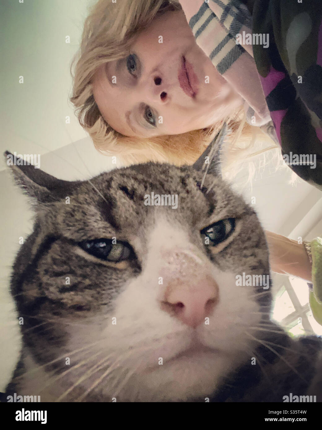 Cool. Stockfoto