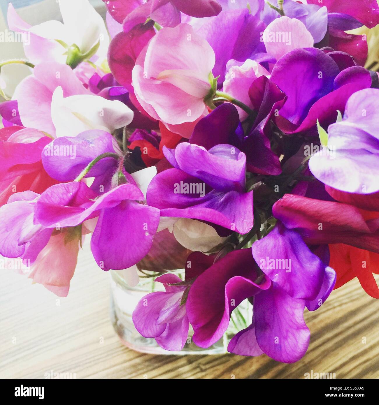 Zuckererbsen - Smartphone-aufgenommenes Stockfoto
