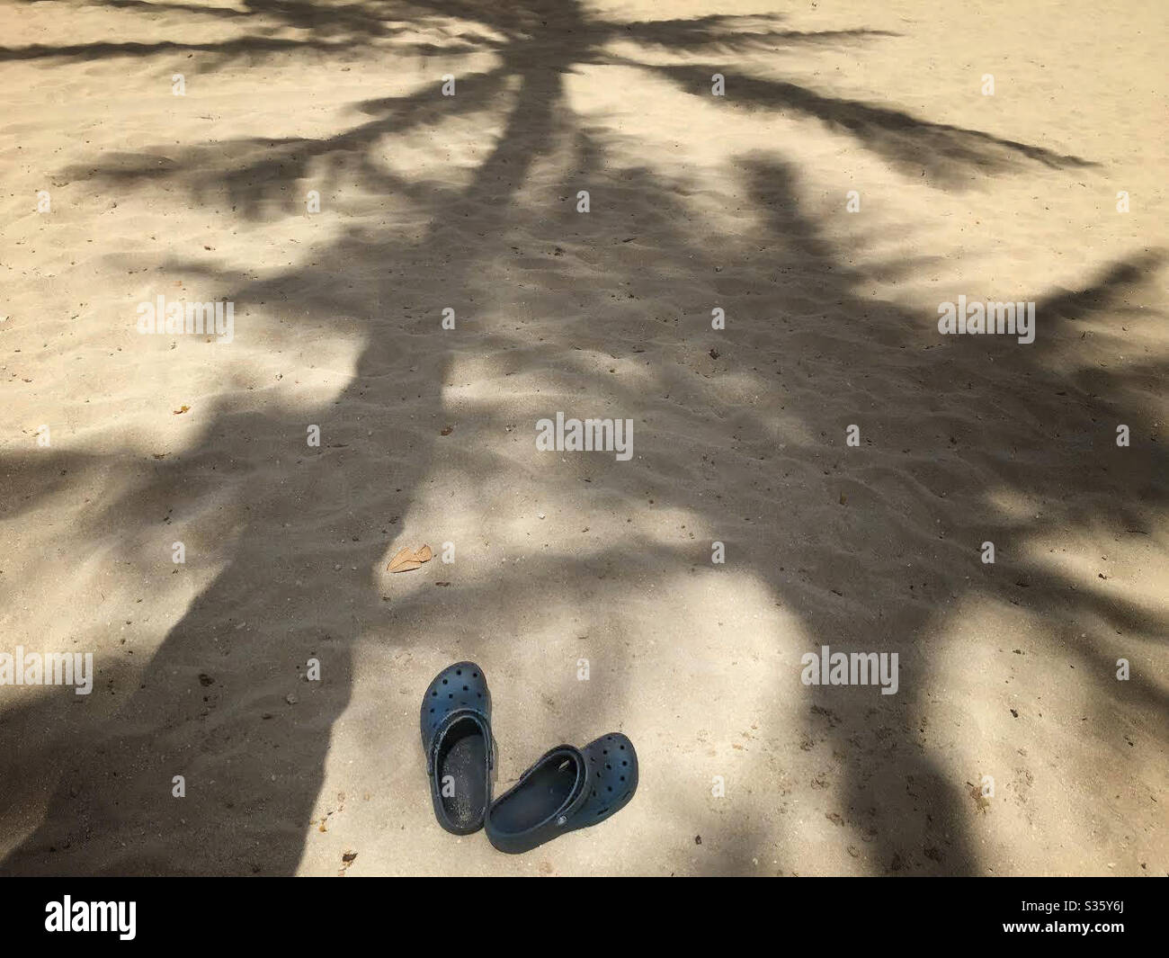 Palmen Schatten und ein Paar Crocs am Sandstrand Stockfoto