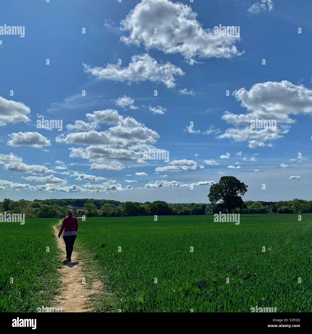 Spaziergänge - Smartphone-aufgenommenes Stockfoto