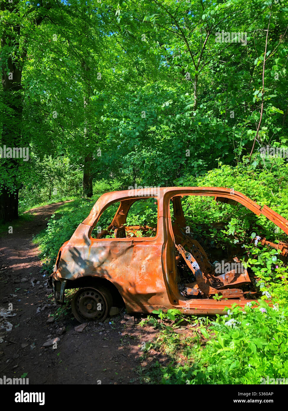 Verlassene alte Auto im Wald in der Nähe von Cardiff. Stockfoto