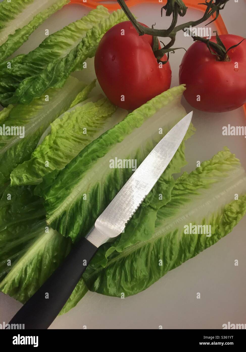 Ein Schneidebrett mit Romain Salat, Wein gereiften Tomaten und einem Messer zum Schälen gefüllt. Stockfoto