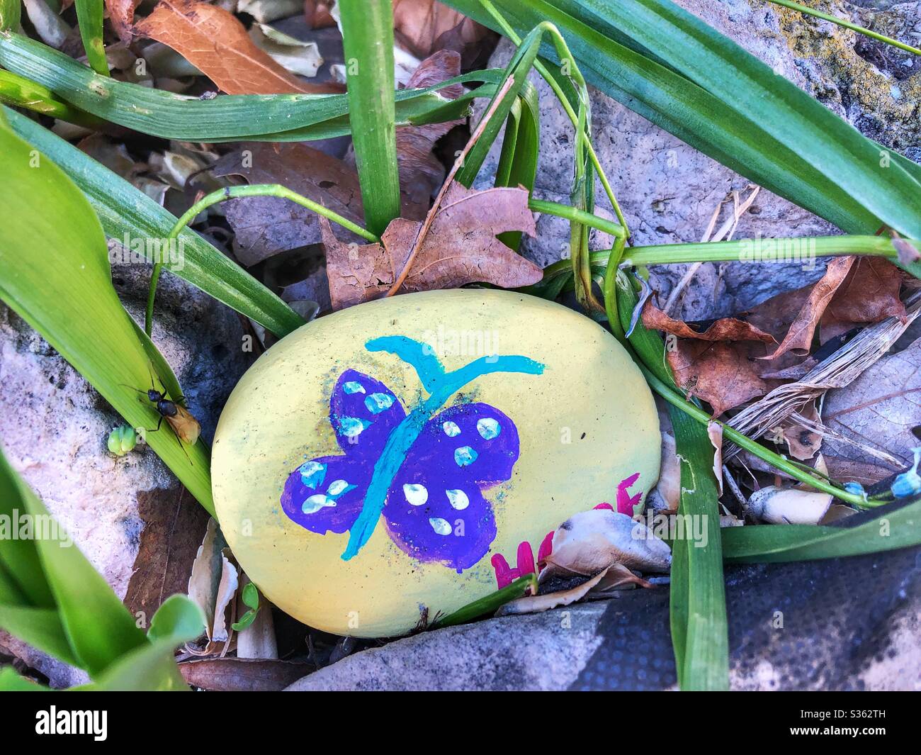 Ein Schmetterling auf einem Stein gemalt. Stockfoto