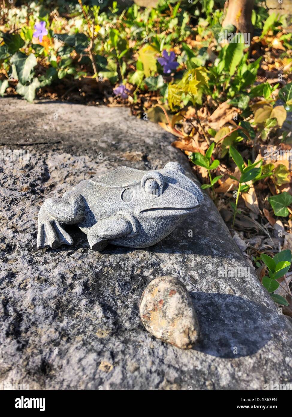 Frosch Garten Ornament. Stockfoto