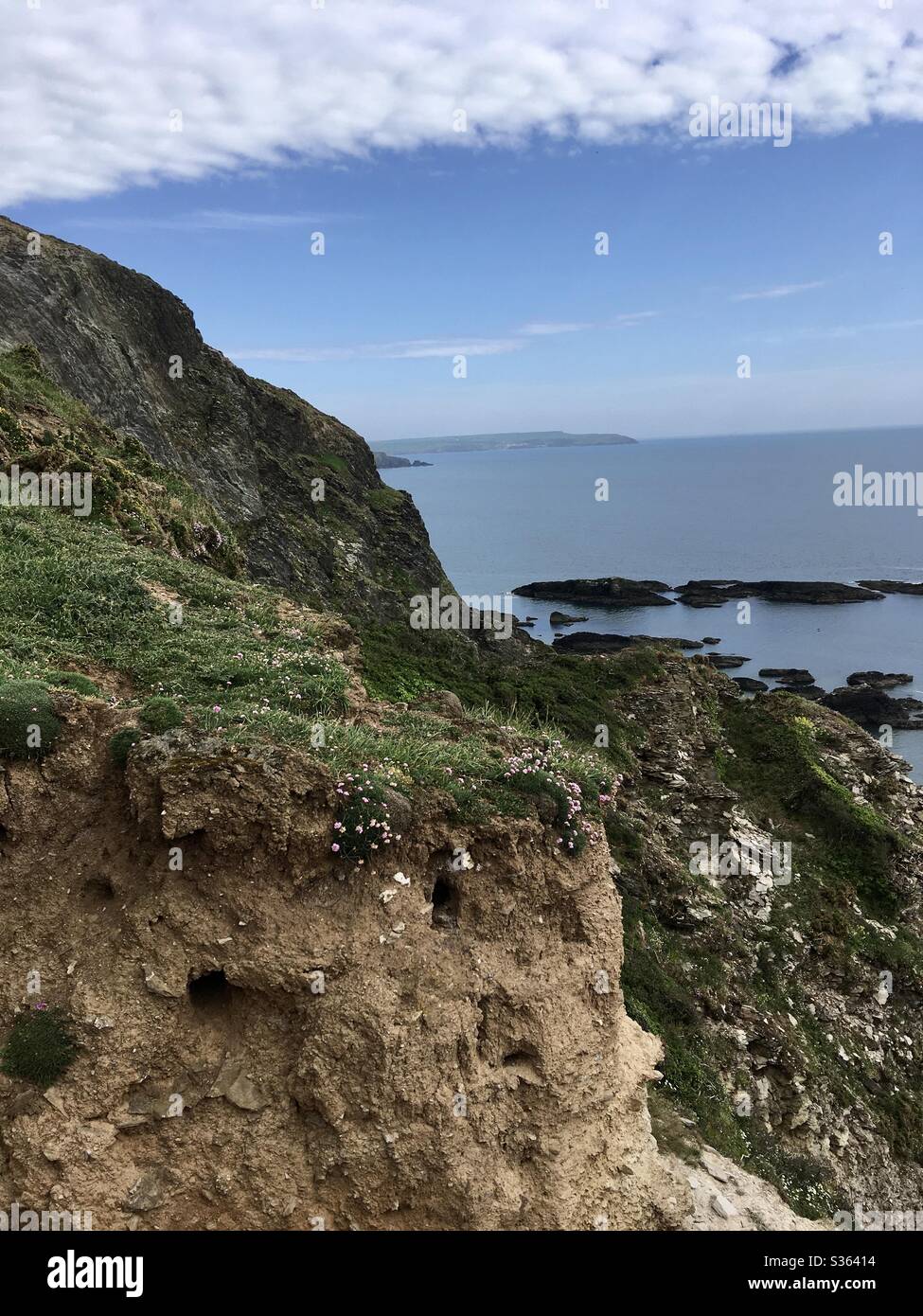 Wilde Klippen über dem Meer, South Devon, England, unter einem blauen Himmel, und Vögel Nester Löcher in Sandklippe - Smartphone-aufgenommenes Stockfoto