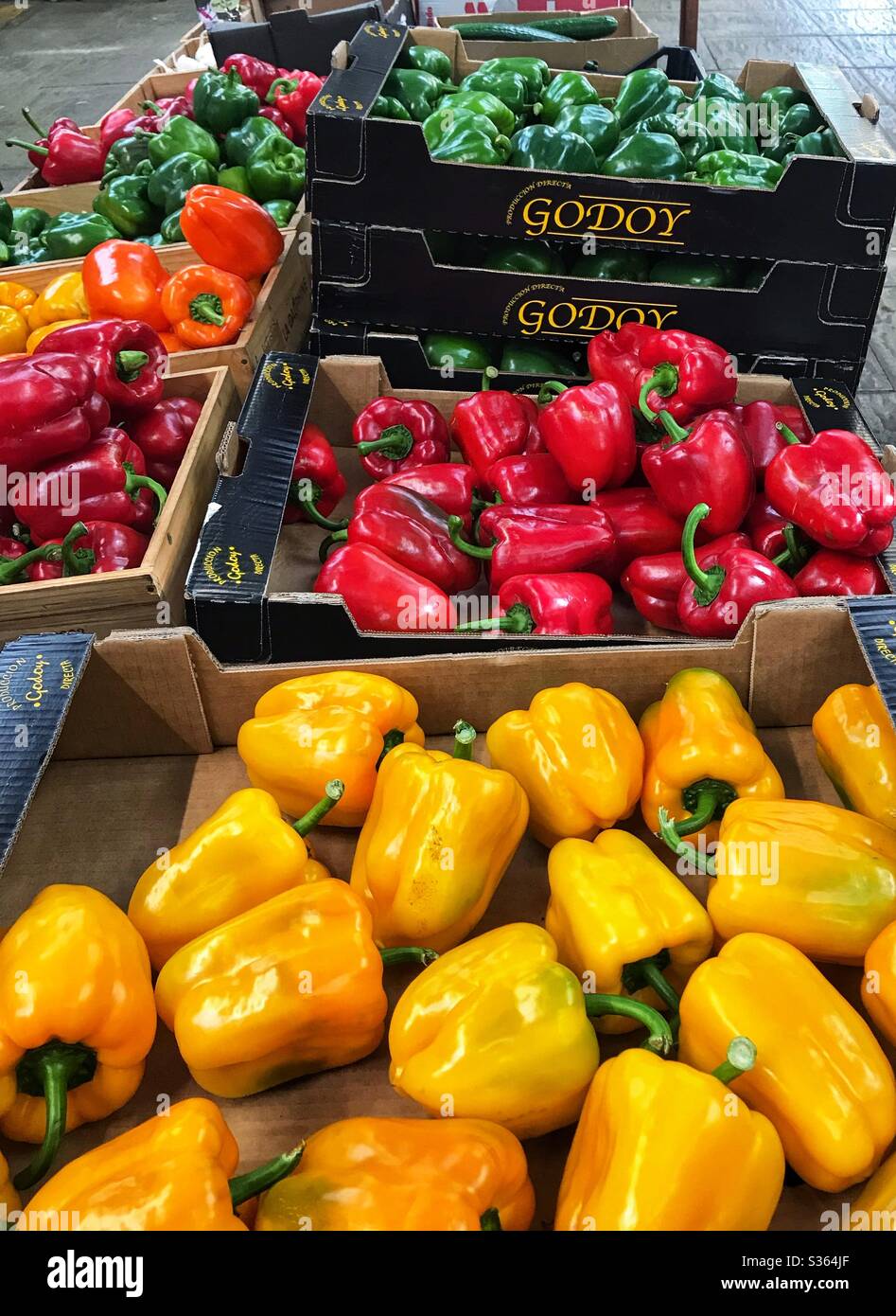 Rote, gelbe und grüne Paprika in Boxen zum Verkauf bereit Stockfoto