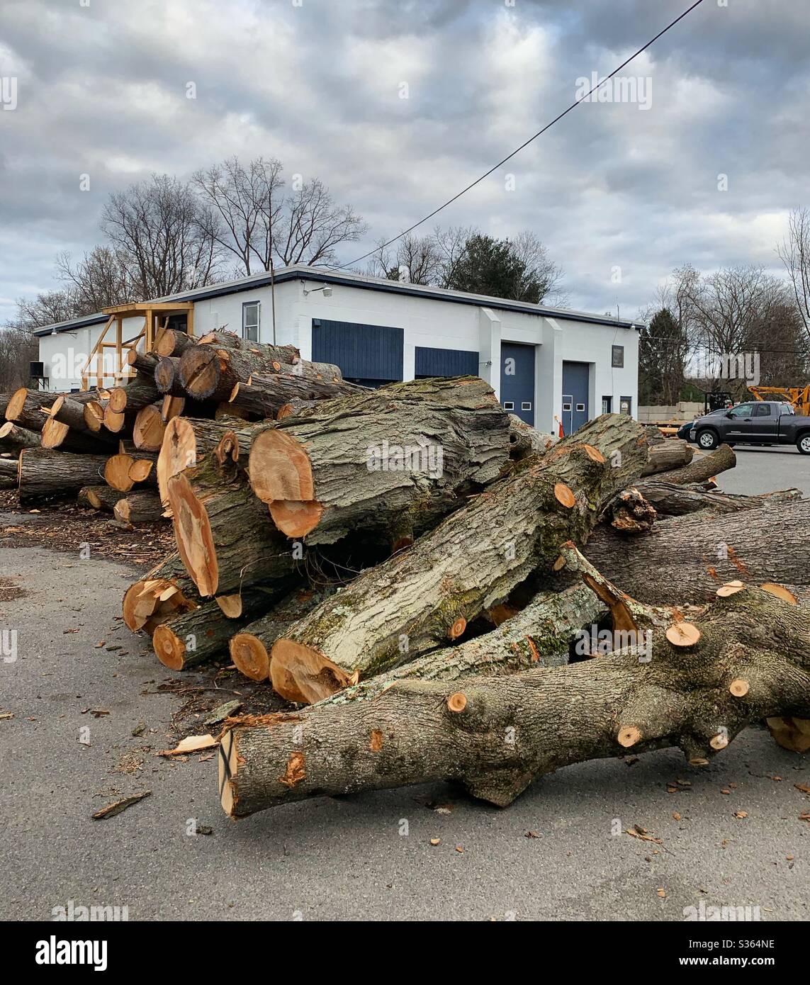 Jim Tree Service, Greenfield, Massachusetts, USA Stockfoto