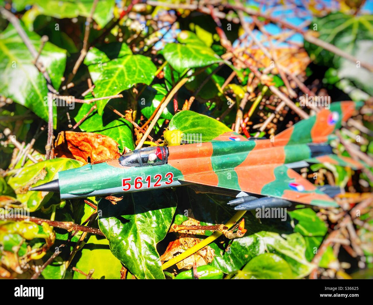 Modell Flugzeug in einer Hecke stecken Stockfoto