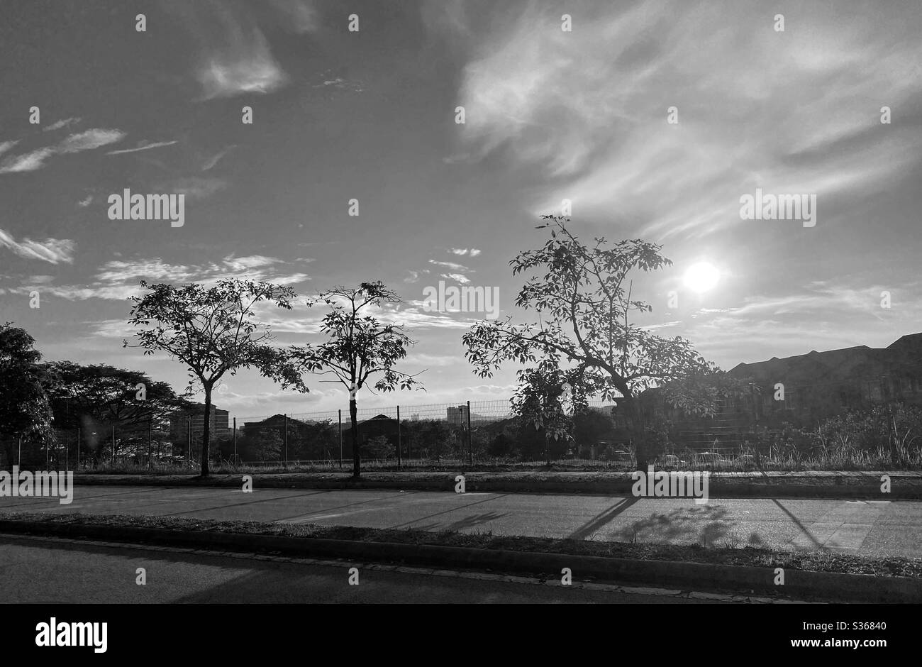 Schwarz / weiß Fotografie Stockfoto