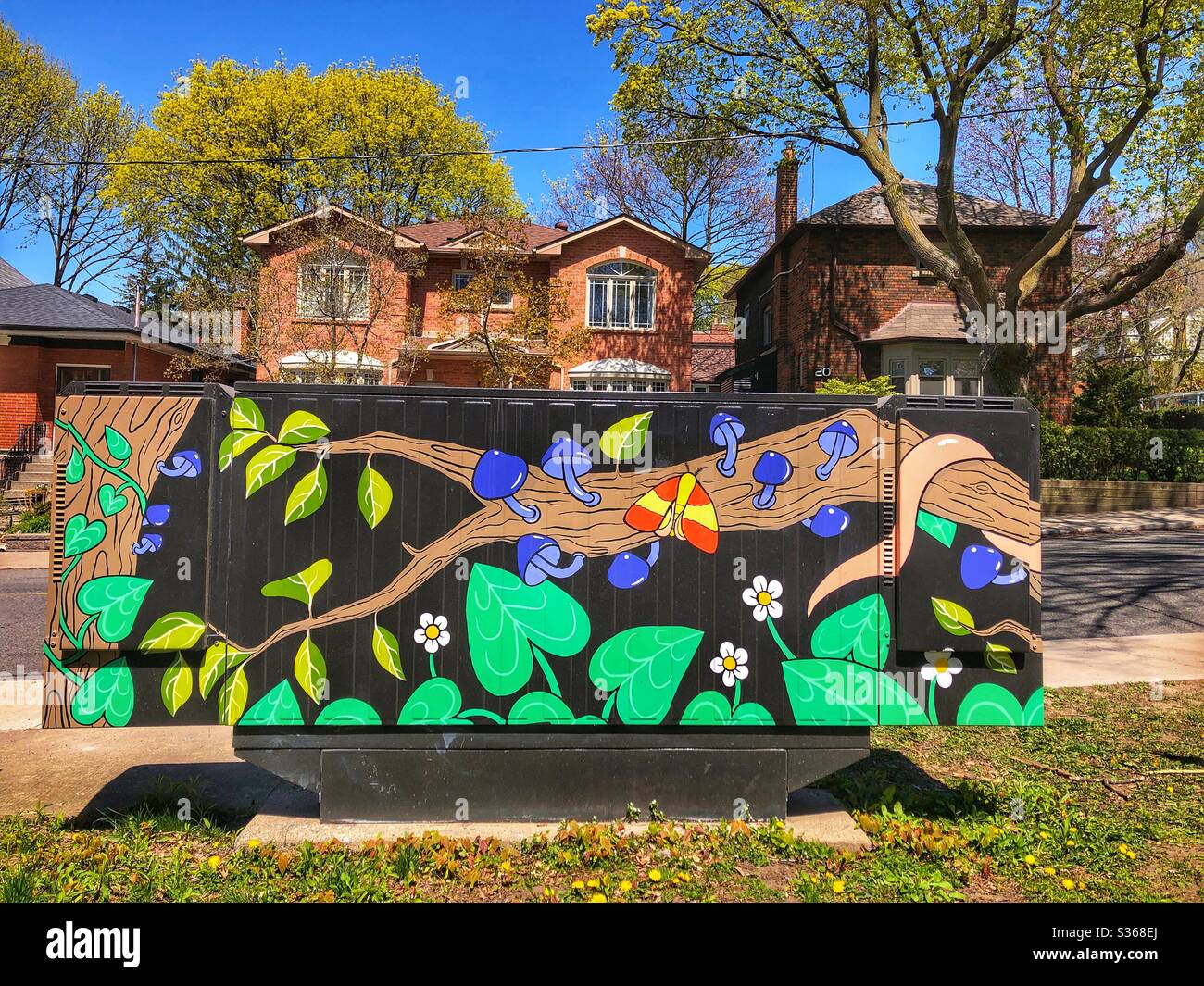 Bemalte Versorgungskästchen im Naturstil in einem Stadtteil von Toronto. Stockfoto