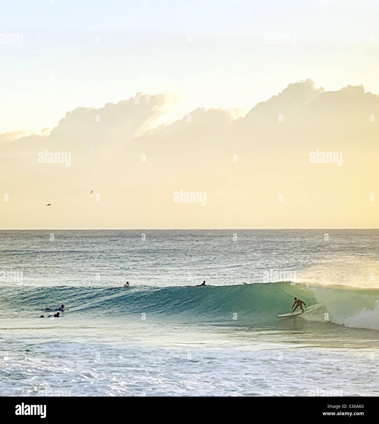 Surfen Sie am frühen Morgen Stockfoto