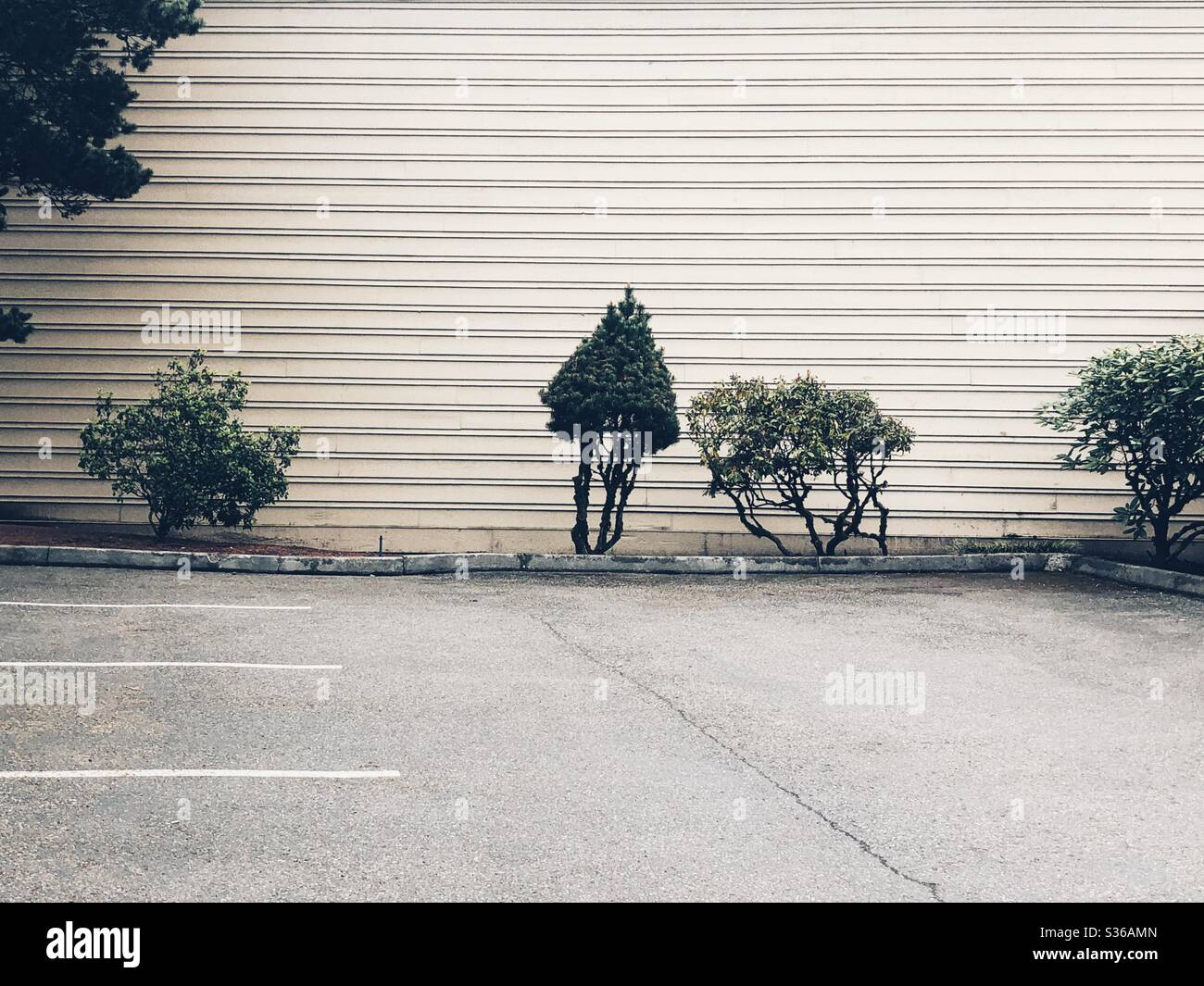 Leerer Parkplatz in den USA während der Quarantäne - Smartphone-aufgenommenes Stockfoto