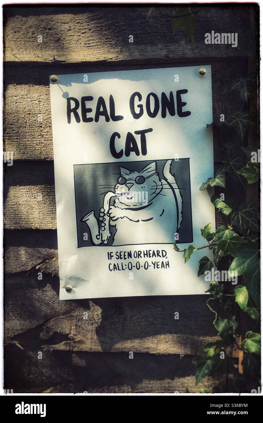 Spoof Missing Cat Poster auf Zaun Stockfoto