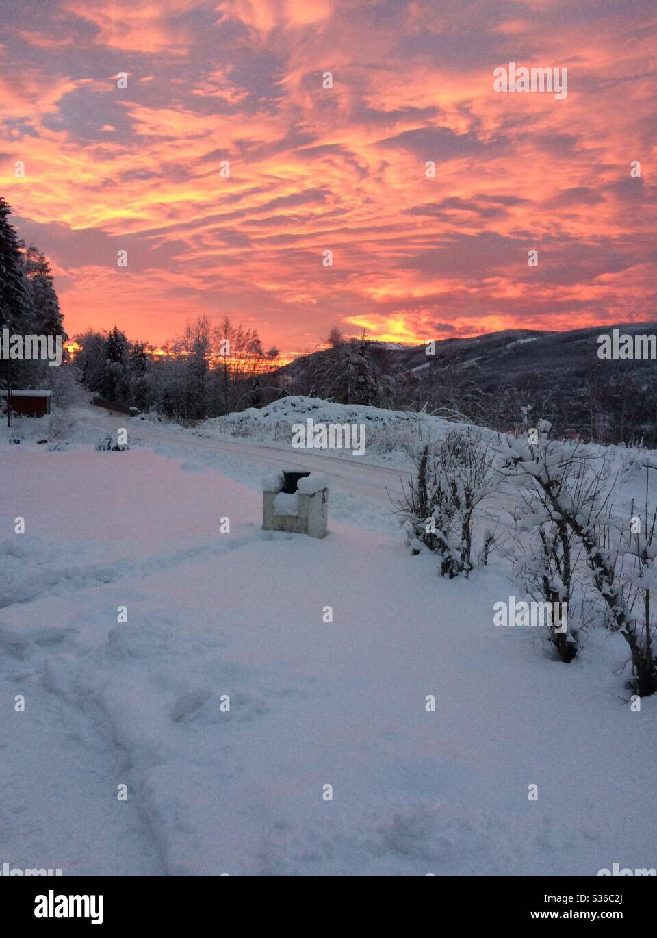 Kalten Wintertag in Schweden Stockfoto