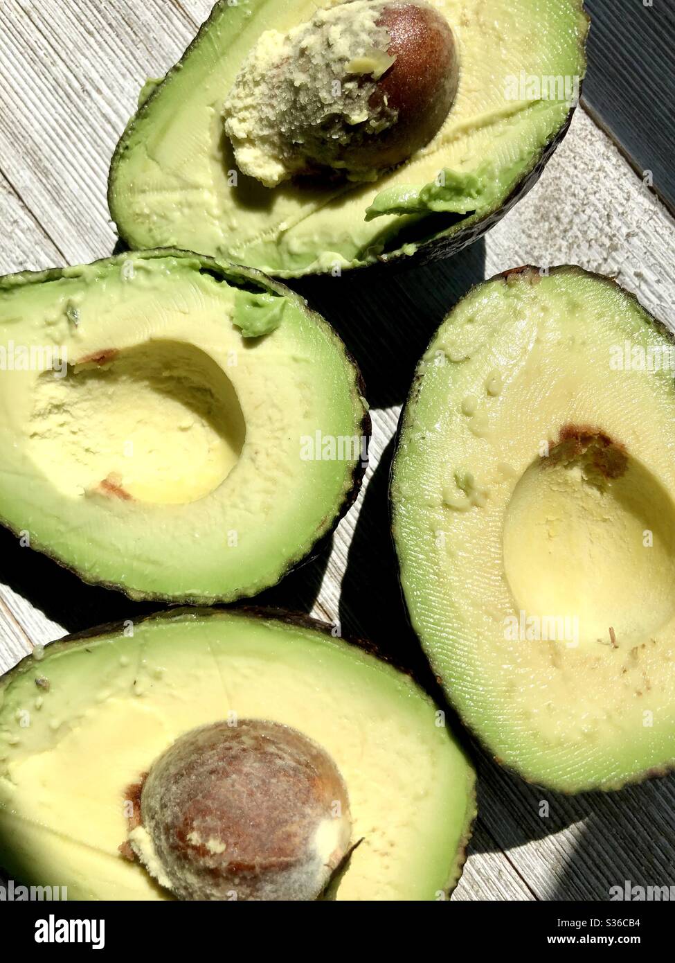 Avocados Stockfoto
