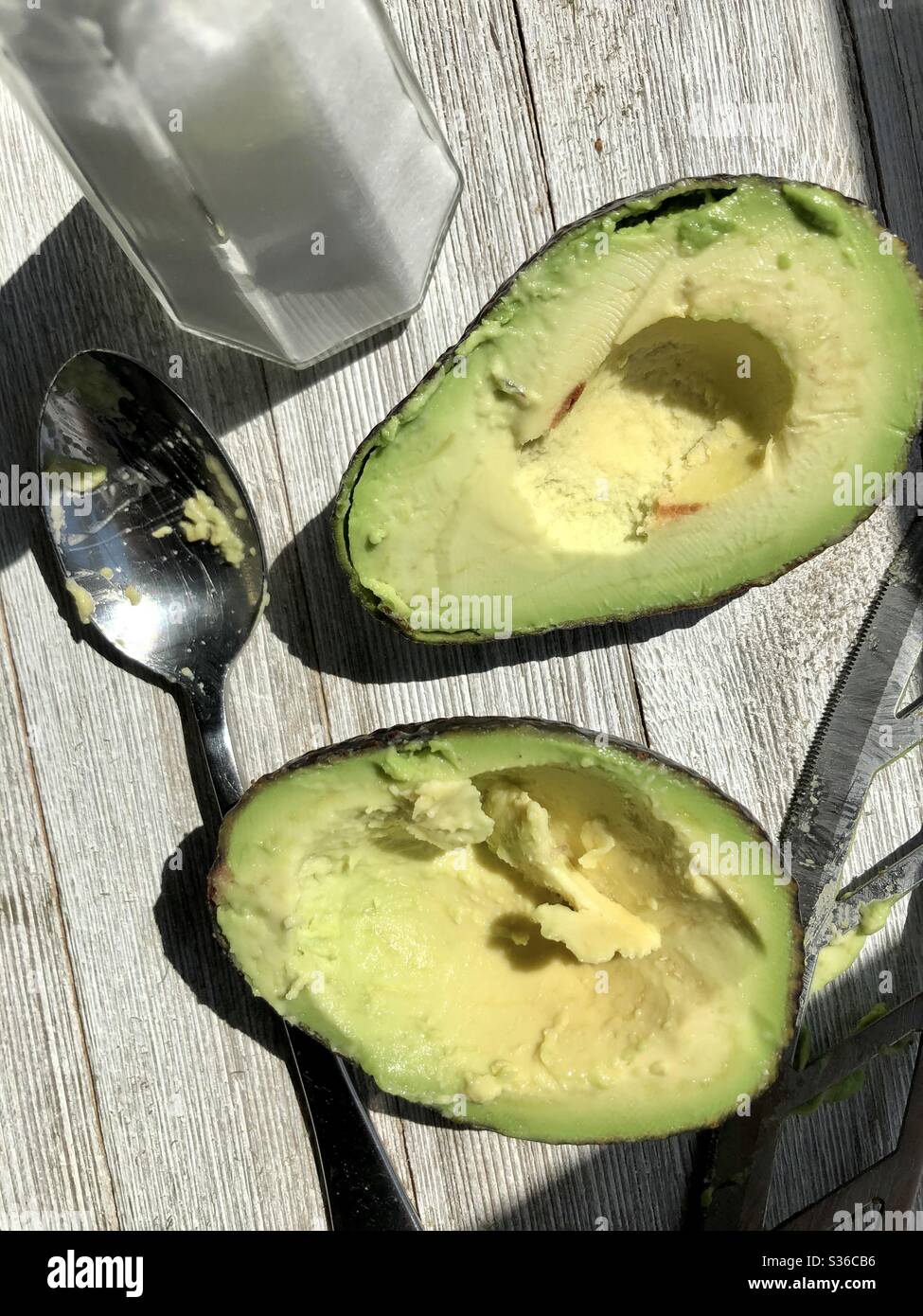Avocados zum Mittagessen Stockfoto