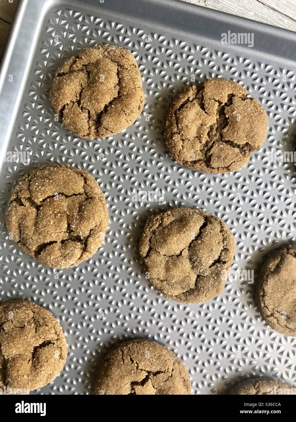 Melasse-cookies - Smartphone-aufgenommenes Stockfoto