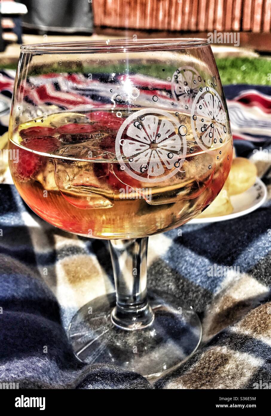 Glas Gin Tonic mit Eis und Himbeeren auf einem Picknickteppich im Garten Stockfoto