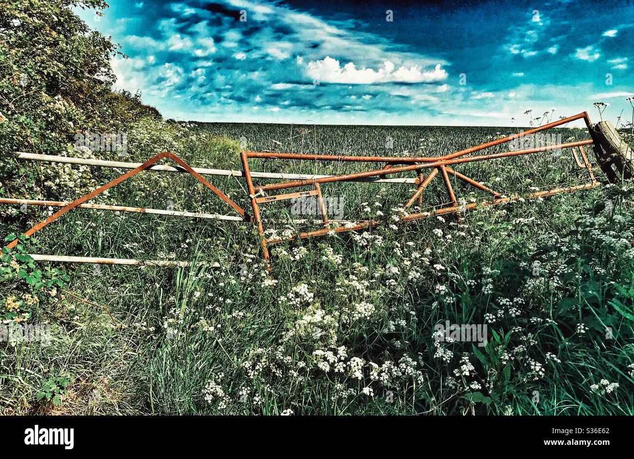 Farm Tore in einem Feld Stockfoto