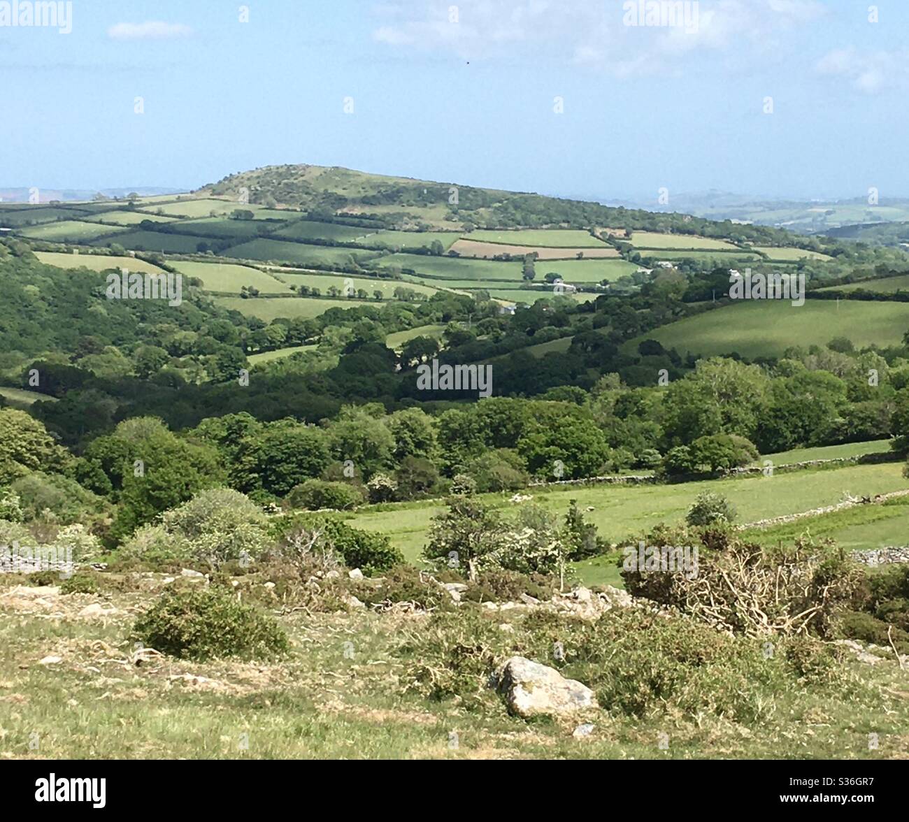 Brent Hügel, südlich Dartmoor Stockfoto