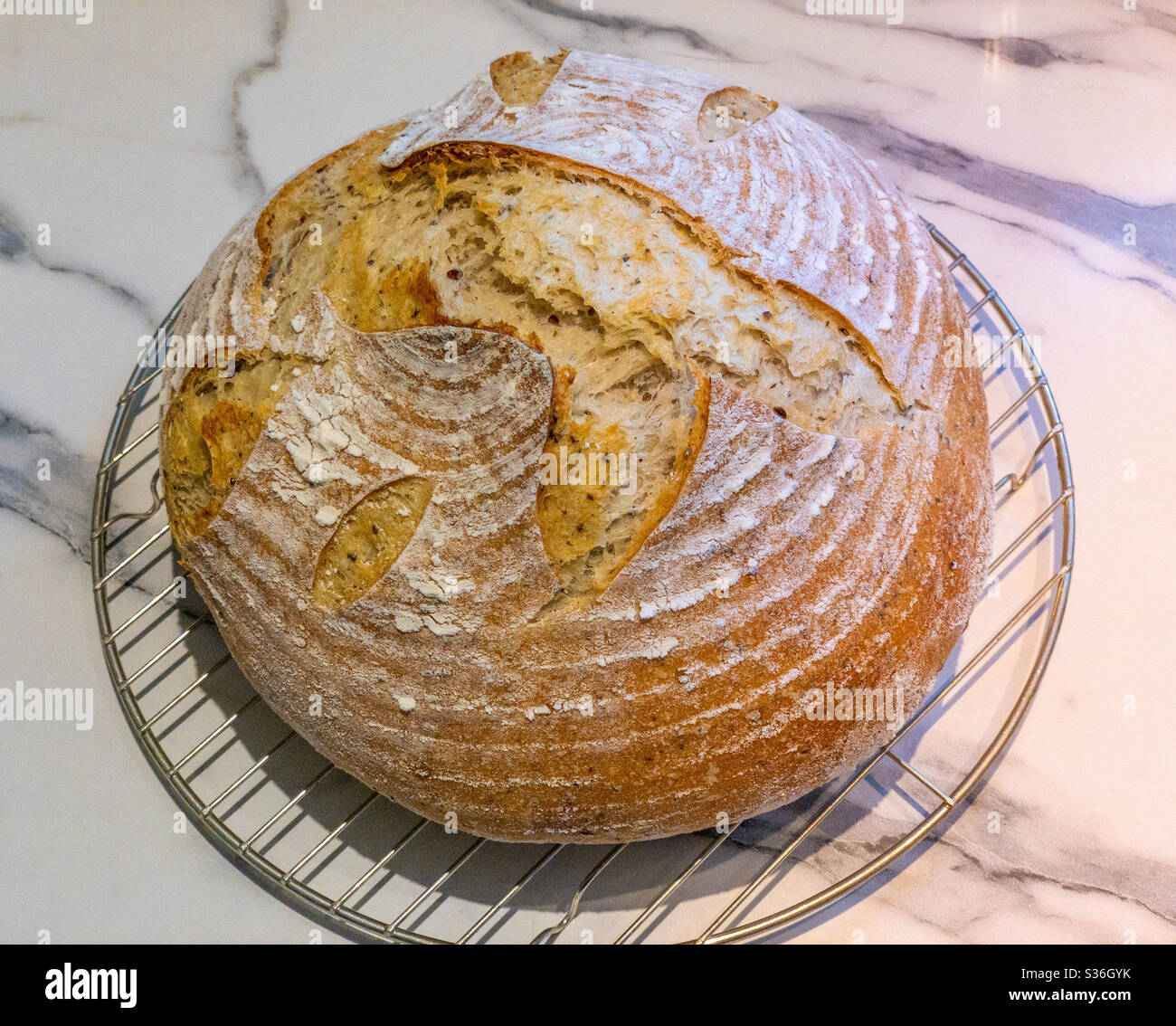 Frisch gebackener Sauerteig Boule auf Draht Kühlregal - Smartphone-aufgenommenes Stockfoto