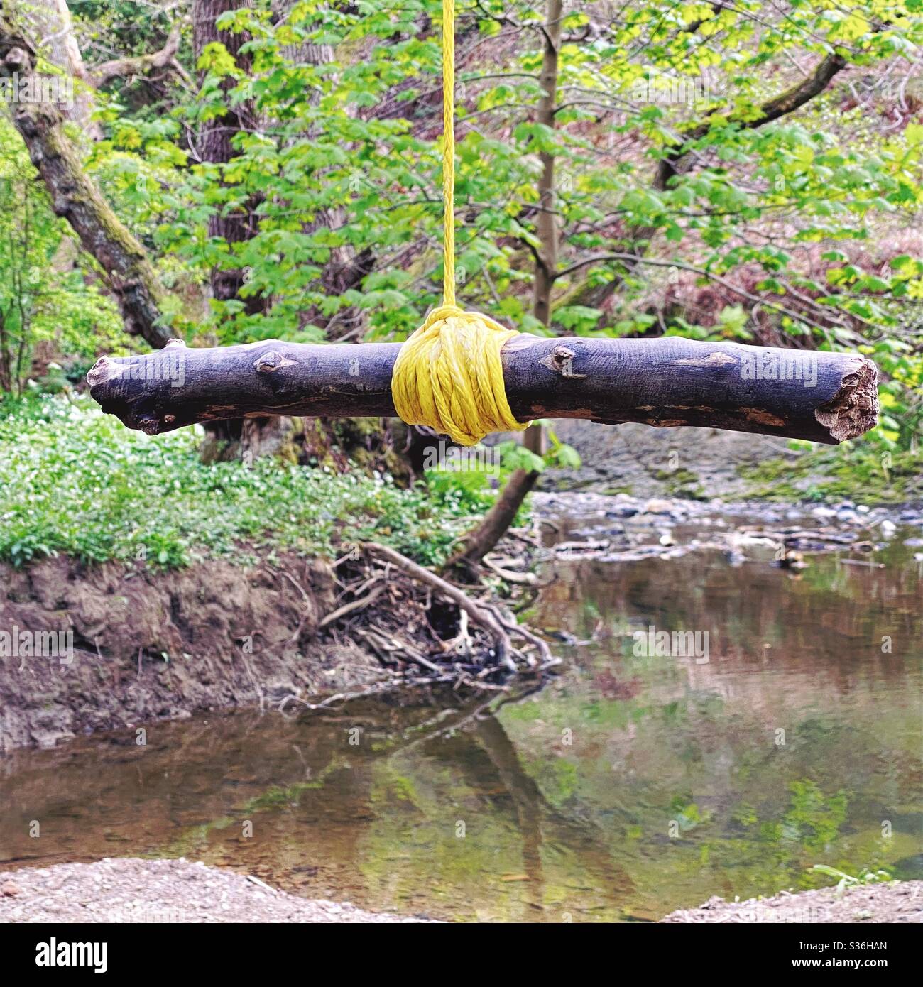 Nahaufnahme von Details einer Seilschaukel, die an den Zweigen eines reifen Baumes in einem Wald hängt. Ein kleiner Stab wird mit Knoten als Bügel gebunden, um über Fluß unten zu schwingen - Smartphone-aufgenommenes Stockfoto