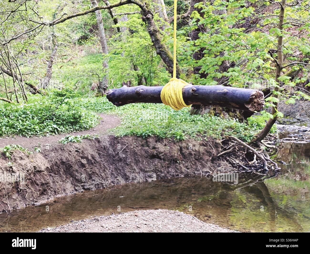 Nahaufnahme von Details einer Seilschaukel, die an den Zweigen eines reifen Baumes in einem Wald hängt. Ein kleiner Stab wird mit Knoten als Bügel gebunden, um über Fluß unten zu schwingen - Smartphone-aufgenommenes Stockfoto