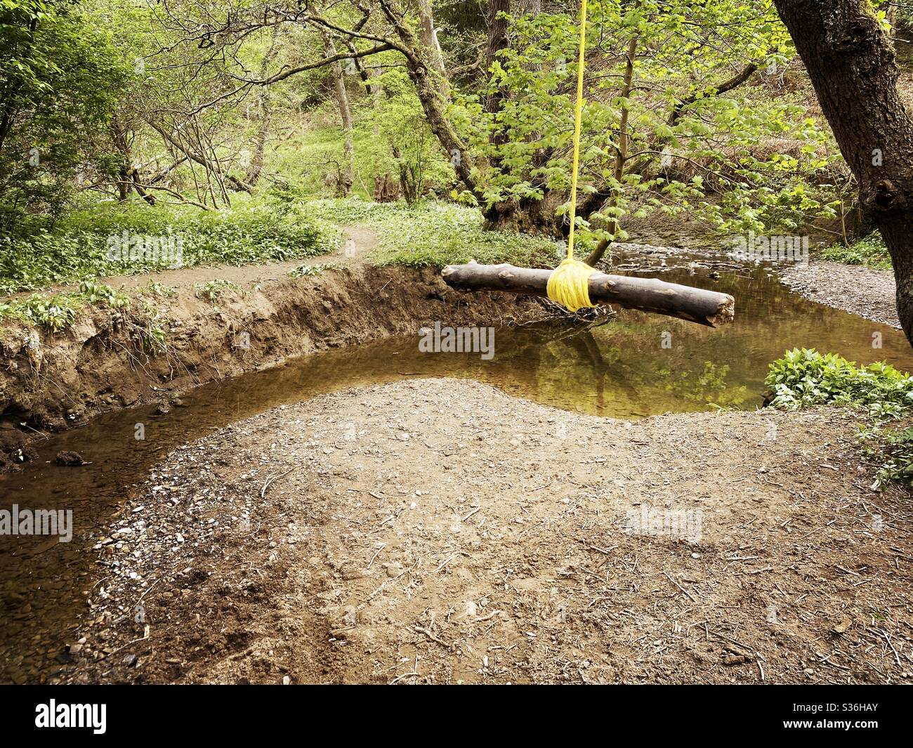 Nahaufnahme von Details einer Seilschaukel, die an den Zweigen eines reifen Baumes in einem Wald hängt. Ein kleiner Stab wird mit Knoten als Bügel gebunden, um über Fluß unten zu schwingen - Smartphone-aufgenommenes Stockfoto