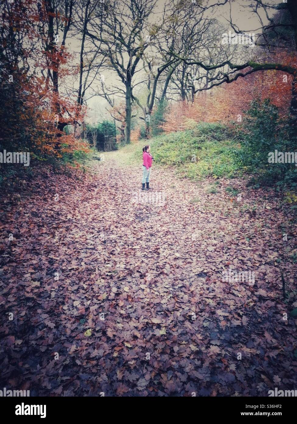 Eine Frau mit einer Kamera steht inmitten einer herbstlichen Waldlandschaft. - Smartphone-aufgenommenes Stockfoto